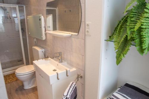 クックスハーフェンにあるHaus-Frauenpreiss-Whg-52のバスルーム(洗面台、トイレ、鏡付)