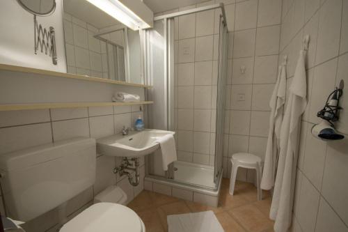 Un baño con lavabo, inodoro y ducha. en Frische-Brise-15-09, en Cuxhaven