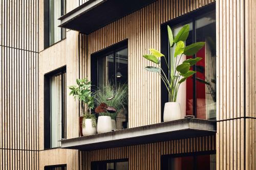 奧胡斯的住宿－Radisson RED Aarhus，坐在窗台上的一组植物