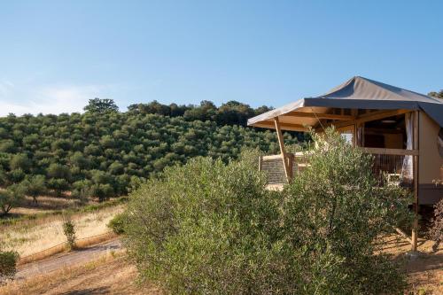 a house with a view of a field of trees at Glamping Podere San Jacopo in Massa Marittima