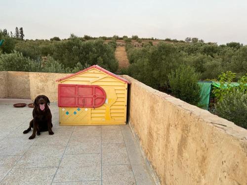 Fotografie z fotogalerie ubytování Meknès ait aabba مكناس آيت عبا v destinaci Meknes