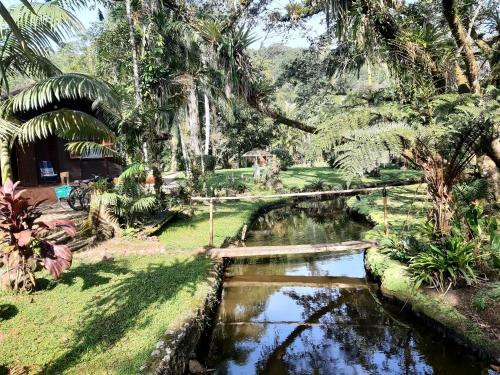 a garden with a river and palm trees at Magia e lazer - Chácara Lucinda - 12km do centro de Morretes in Morretes