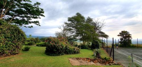 a garden with flowers and trees on the side of a road at Wide Horizons Mountain Retreat in Malkerns