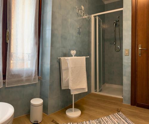 W łazience znajduje się prysznic i wieszak na ręczniki. w obiekcie CLO APARTMENT w mieście Toscolano Maderno