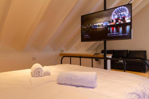 a bedroom with a bed with a flat screen tv at מול ההר in Ein Zivan