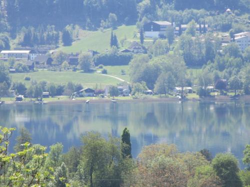 a view of a lake with trees and houses at Ferienwohnung Landhaus Sorli in Bodensdorf