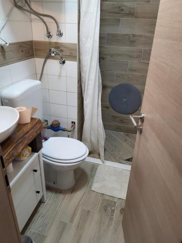 uma casa de banho com um WC e um lavatório em Studio apartman Tamai em Kutina