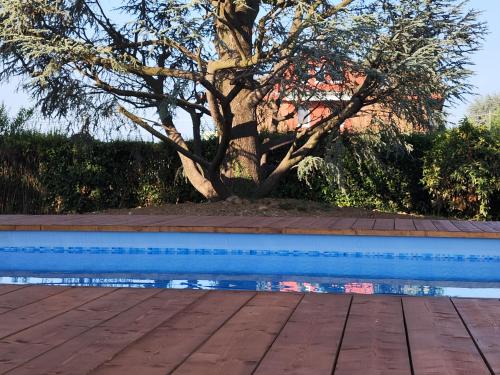 uma árvore e uma piscina com uma árvore ao fundo em Villa Cresto em Gaglianico
