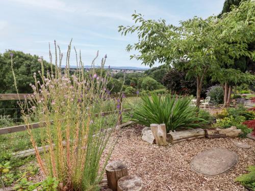 a garden with a fence and some plants at The Grooms in Lydney