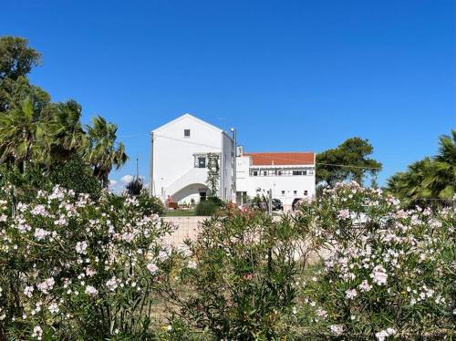 Biały budynek z kwiatami przed nim w obiekcie Agriturismo Masseria Cannella w mieście Lesina