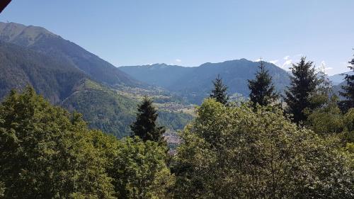 un groupe d'arbres avec des montagnes en arrière-plan dans l'établissement Colmel dei Busini, à Canal San Bovo