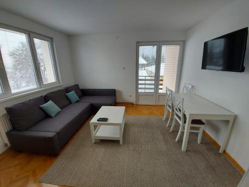 TV a/nebo společenská místnost v ubytování Apartmani Tarsko Jezero Nova Vezanja