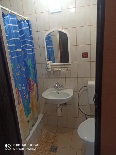 a bathroom with a sink and a toilet and a mirror at Ararat in Zagurne