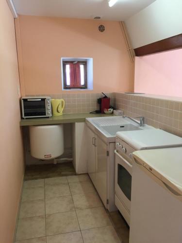 uma pequena cozinha com um lavatório e um micro-ondas em Studio em Pluduno