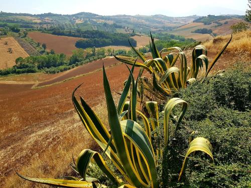 Country-House Pecora Nera – Photos 5