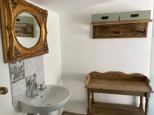 a bathroom with a sink and a mirror on the wall at 3 Guests - Pet Friendly - Grid Tree-House in Longhope