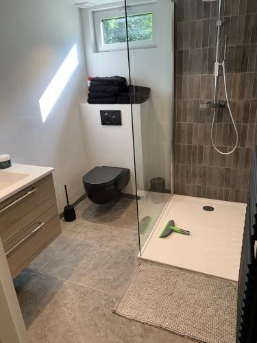 ein Bad mit einer Dusche und einem schwarzen WC in der Unterkunft Maison Napoleon in Malmedy