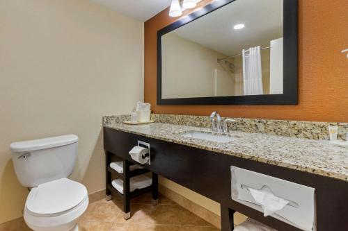 Comfort Inn North of Asheville tesisinde bir banyo