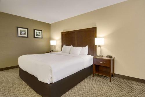 a large bed in a hotel room with two lamps at Comfort Inn Airport in Roanoke