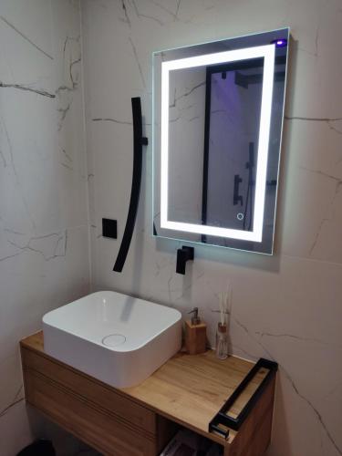 a bathroom with a white sink and a mirror at Superbe appartement avec jacuzzi avec jardin privé in Lyon