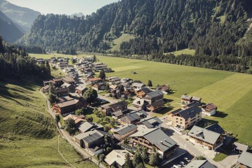 an aerial view of a small village in the mountains at DER*ADLER Apartments in Schoppernau