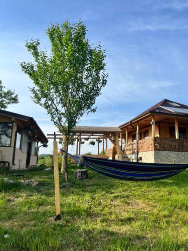 a hammock in front of a house with a tree at Casa Eden Fit in Făget