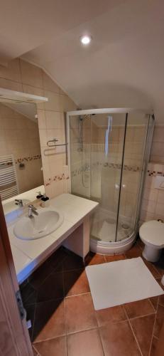 Phòng tắm tại Vila Lisina