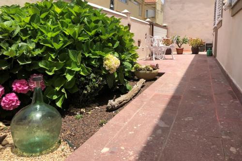 un jarrón de cristal verde sentado en un lado de un jardín en Casa Alexandra, en La Laguna