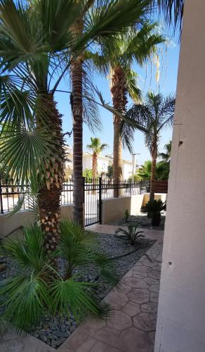 a group of palm trees in front of a fence at GREAT VILLA MARIA in Paralimni