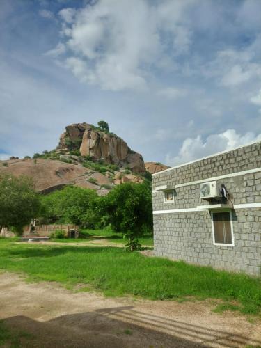 a brick wall with a radio on the side of it at JAWAI WILD LODGE in Bijāpur