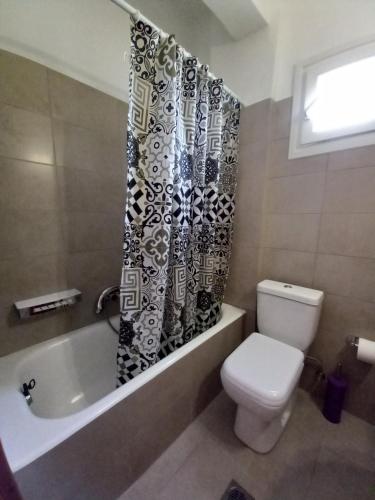 a bathroom with a toilet and a shower curtain at Natassa House 2 in Agios Georgios Pagon