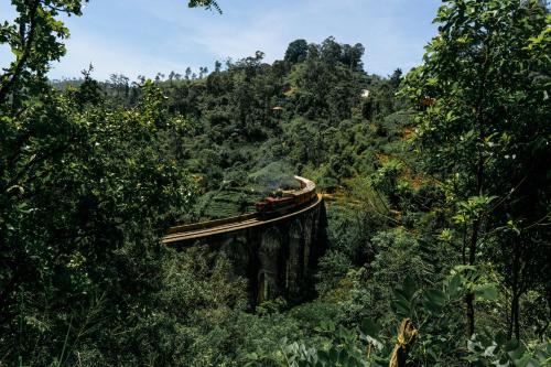 a boat on a bridge in the jungle at Ella green stay in Ella