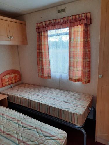 dwa łóżka w pokoju z oknem w obiekcie Pod brzózkami w mieście Zastań
