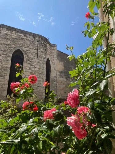 Cocooning Avignon photo 17
