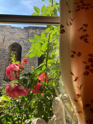 Cocooning Avignon photo 43