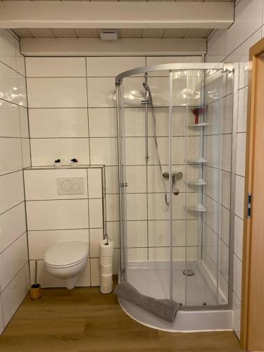 y baño con ducha y aseo. en Schönes Ferienhaus&Monteurzimmer direkt in Lich, ruhige&zentrale Lage, en Lich