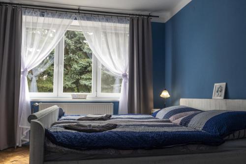 a bedroom with blue walls and a bed with a window at Ubytování Na Peci Lanžhot in Lanžhot