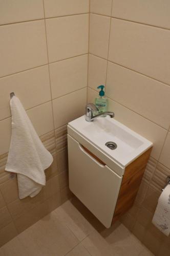 a bathroom with a sink and a towel at Horský apartmán Pod Zelenou Střechou in Bartošovice v Orlických Horách