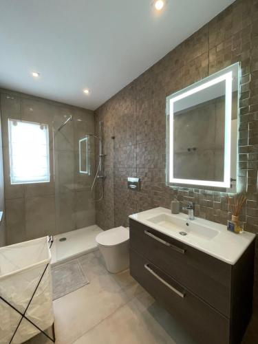 Balzan Luxury Living في Ħal Balzan: حمام مع حوض ودش ومرحاض