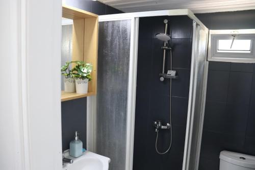 Bilik mandi di Mediterranean poolside garden cottage