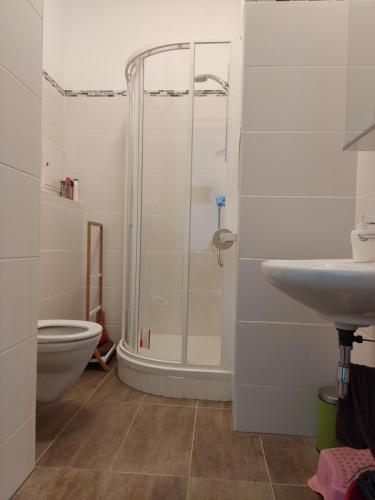 La salle de bains est pourvue d'une douche, de toilettes et d'un lavabo. dans l'établissement Ferienzimmer Seepark, à Vienne