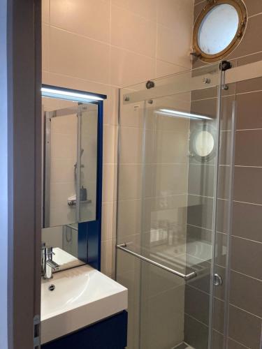 ein Bad mit einer Glasdusche und einem Waschbecken in der Unterkunft Appartement moderne, vue imprenable in Bages