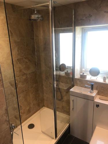 a bathroom with a shower and a toilet and a sink at Honey lodge in Caeathro