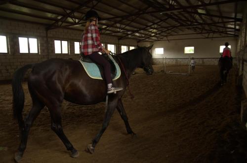 a woman riding on the back of a horse at SELMENT RESORT Mazury in Ełk