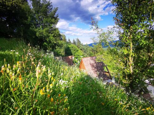 Gallery image of Glamping MM in Muta