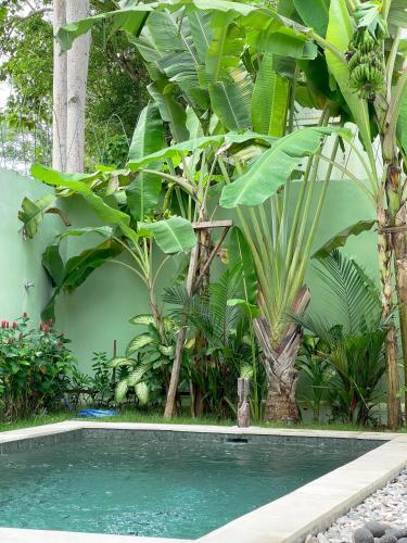 a swimming pool in front of a bunch of plants at 2BR Art Villa Bingin in Uluwatu