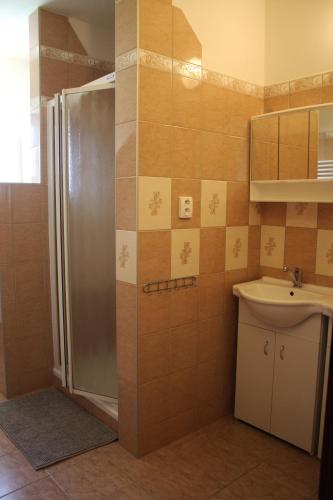 a bathroom with a shower and a sink at Apartmány Fialka in Kašperské Hory