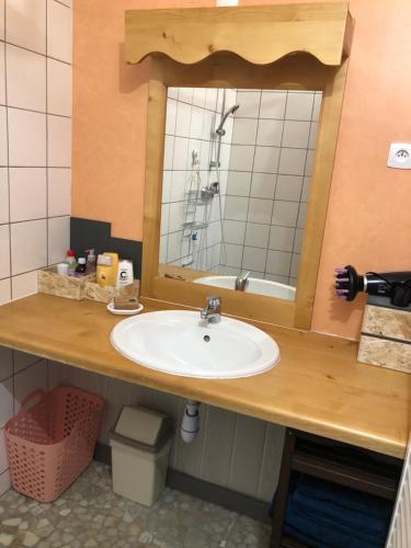 Kúpeľňa v ubytovaní SUPER BESSE Appartement LE GÎTE BESSARD 6 couchages Le Bois de la Reine