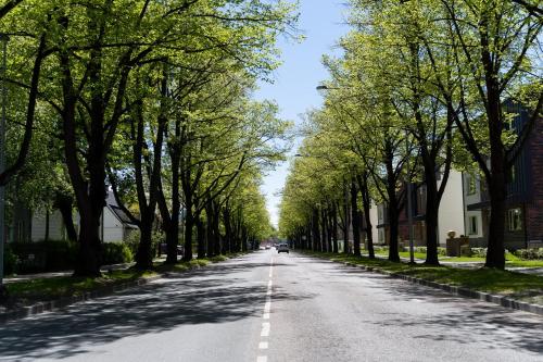 Okolí apartmánu