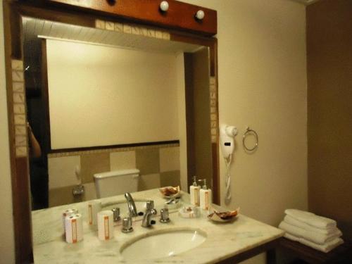 baño con lavabo y espejo grande en Passaros Suite Hotel en Puerto Iguazú